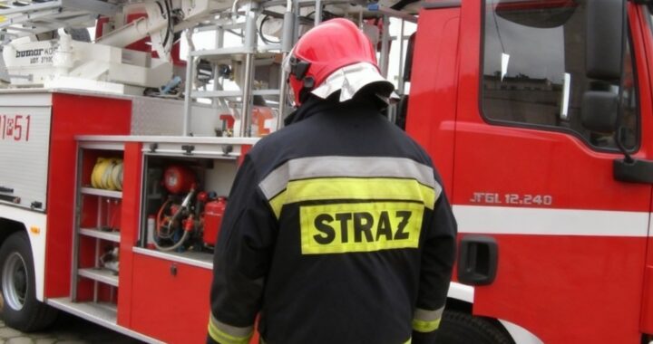 akcja-ratunkowa-w-lewinie-brzeskim--neutralizacja--auto-6689